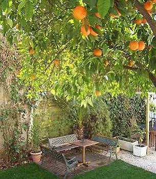Nice Garden Hotel 3*,